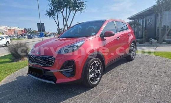 Buy Used Kia Sportage Red Car in Windhoek in Namibia Buy Used Kia Sportage Red Car in Windhoek in Namibia