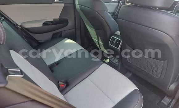 Buy Used Kia Sportage Red Car in Windhoek in Namibia Buy Used Kia Sportage Red Car in Windhoek in Namibia