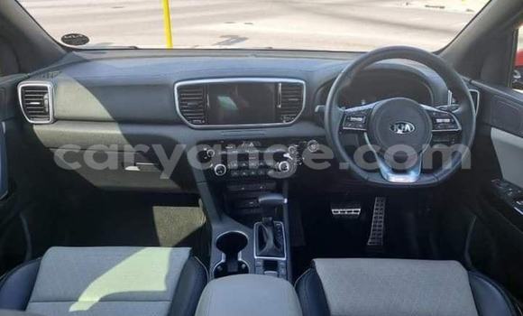 Buy Used Kia Sportage Red Car in Windhoek in Namibia Buy Used Kia Sportage Red Car in Windhoek in Namibia