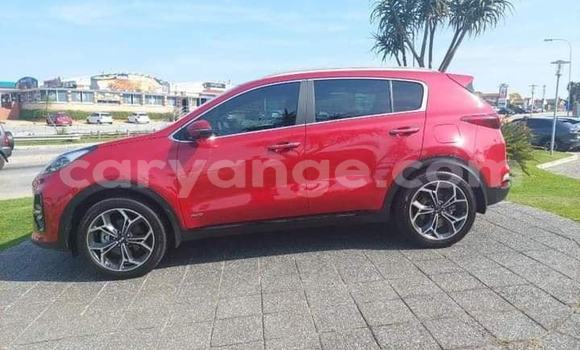 Buy Used Kia Sportage Red Car in Windhoek in Namibia Buy Used Kia Sportage Red Car in Windhoek in Namibia