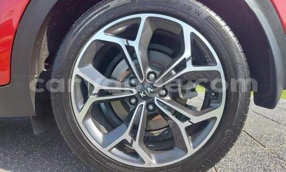 Buy Used Kia Sportage Red Car in Windhoek in Namibia Buy Used Kia Sportage Red Car in Windhoek in Namibia