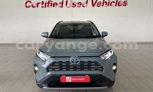 Buy Used Toyota RAV4 Other Car in Walvis Bay in Namibia Buy Used Toyota RAV4 Other Car in Walvis Bay in Namibia