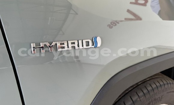 Buy Used Toyota RAV4 Other Car in Walvis Bay in Namibia Buy Used Toyota RAV4 Other Car in Walvis Bay in Namibia