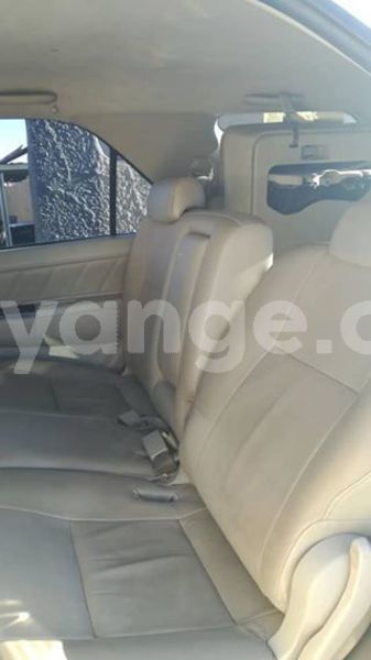 Big with watermark 49506459 10218123853752005 6324724911164096512 n