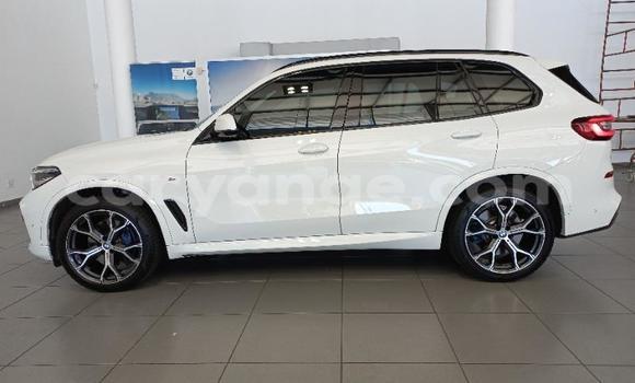 Acheter Occasion Voiture BMW X5 Blanc à Karasburg, Karas
