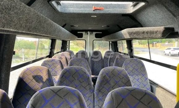 Buy Used Iveco Daily White Truck in Windhoek in Namibia Buy Used Iveco Daily White Truck in Windhoek in Namibia