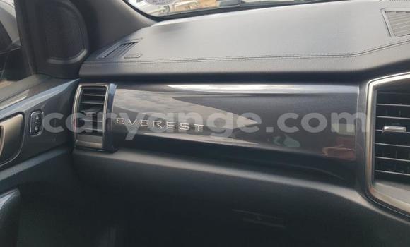 Acheter Occasion Voiture Ford Everest Gris à Karasburg, Karas Acheter Occasion Voiture Ford Everest Gris à Karasburg, Karas