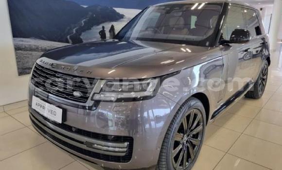 Buy Used Range Rover Range Rover Silver Car in Karasburg in Karas