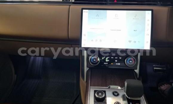 Acheter Occasion Voiture Range Rover Range Rover Gris à Karasburg, Karas Acheter Occasion Voiture Range Rover Range Rover Gris à Karasburg, Karas