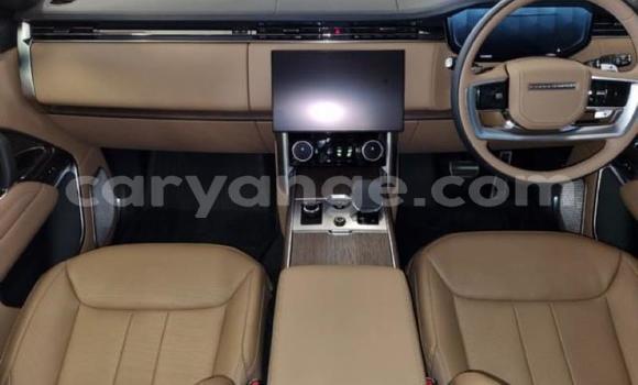 Acheter Occasion Voiture Range Rover Range Rover Gris à Karasburg, Karas Acheter Occasion Voiture Range Rover Range Rover Gris à Karasburg, Karas