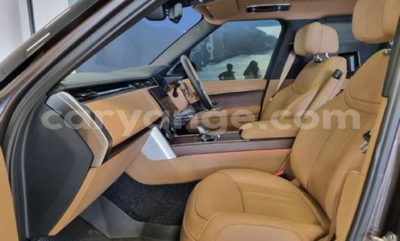 Acheter Occasion Voiture Range Rover Range Rover Gris à Karasburg, Karas Acheter Occasion Voiture Range Rover Range Rover Gris à Karasburg, Karas