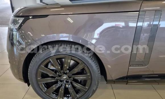 Acheter Occasion Voiture Range Rover Range Rover Gris à Karasburg, Karas Acheter Occasion Voiture Range Rover Range Rover Gris à Karasburg, Karas