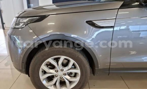 Buy Used Land Rover Discovery Silver Car in Karasburg in Karas Buy Used Land Rover Discovery Silver Car in Karasburg in Karas