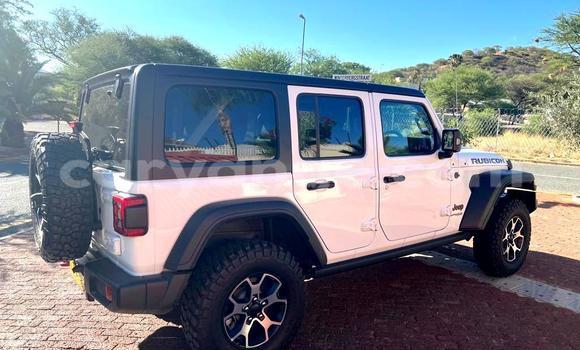 Acheter Neuf Voiture Jeep Wrangler Blanc à Windhoek, Namibie Acheter Neuf Voiture Jeep Wrangler Blanc à Windhoek, Namibie