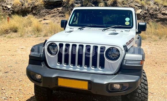 Acheter Neuf Voiture Jeep Wrangler Blanc à Windhoek, Namibie Acheter Neuf Voiture Jeep Wrangler Blanc à Windhoek, Namibie