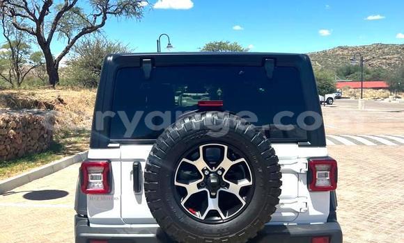 Acheter Neuf Voiture Jeep Wrangler Blanc à Windhoek, Namibie Acheter Neuf Voiture Jeep Wrangler Blanc à Windhoek, Namibie