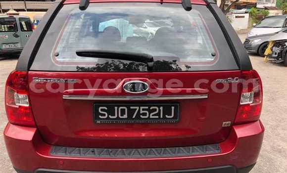 Buy Used Kia Sportage Red Car in Arandis in Kunene Buy Used Kia Sportage Red Car in Arandis in Kunene