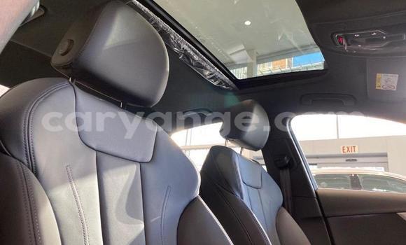 Buy Used Audi A4 Black Car in Karasburg in Karas Buy Used Audi A4 Black Car in Karasburg in Karas