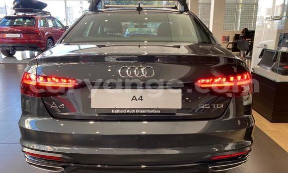 Buy Used Audi A4 Black Car in Karasburg in Karas Buy Used Audi A4 Black Car in Karasburg in Karas