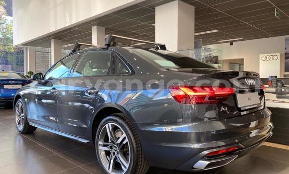 Buy Used Audi A4 Black Car in Karasburg in Karas Buy Used Audi A4 Black Car in Karasburg in Karas