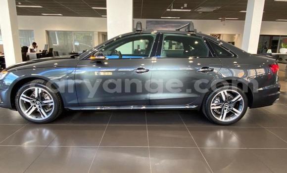Buy Used Audi A4 Black Car in Karasburg in Karas Buy Used Audi A4 Black Car in Karasburg in Karas