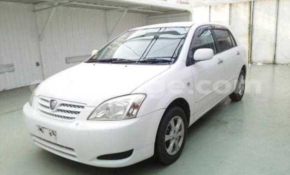 Buy Used Toyota Runx White Car in Leonardville in Omaheke Buy Used Toyota Runx White Car in Leonardville in Omaheke