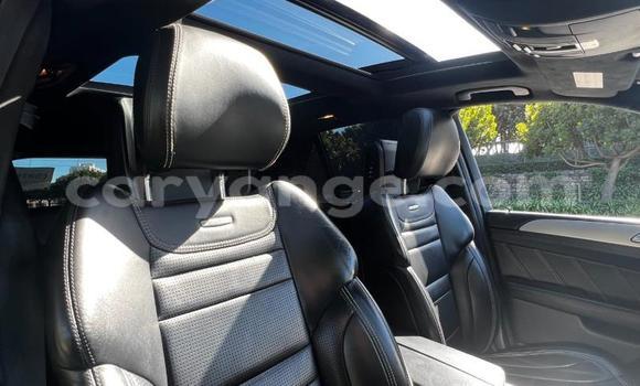 Acheter Occasion Voiture Mercedes-Benz ML–Class Noir à Windhoek, Namibie Acheter Occasion Voiture Mercedes-Benz ML–Class Noir à Windhoek, Namibie