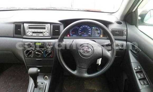 Buy Used Toyota Runx White Car in Leonardville in Omaheke Buy Used Toyota Runx White Car in Leonardville in Omaheke