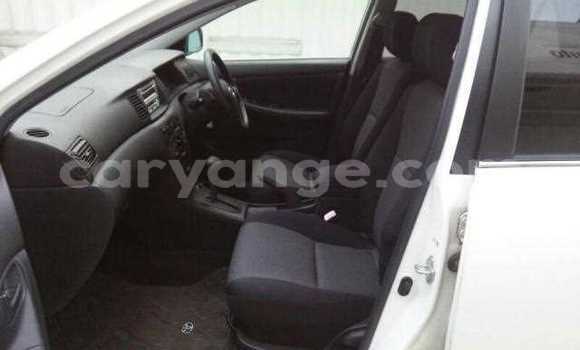 Buy Used Toyota Runx White Car in Leonardville in Omaheke Buy Used Toyota Runx White Car in Leonardville in Omaheke