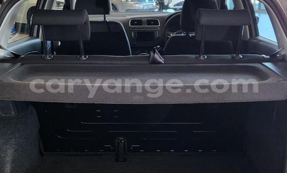 Acheter Occasion Voiture Volkswagen Polo Gris à Windhoek, Namibie Acheter Occasion Voiture Volkswagen Polo Gris à Windhoek, Namibie