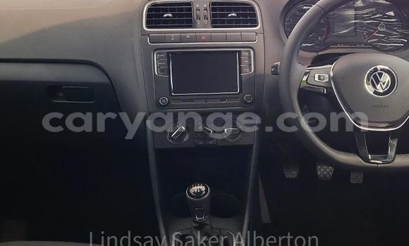 Acheter Occasion Voiture Volkswagen Polo Gris à Windhoek, Namibie Acheter Occasion Voiture Volkswagen Polo Gris à Windhoek, Namibie