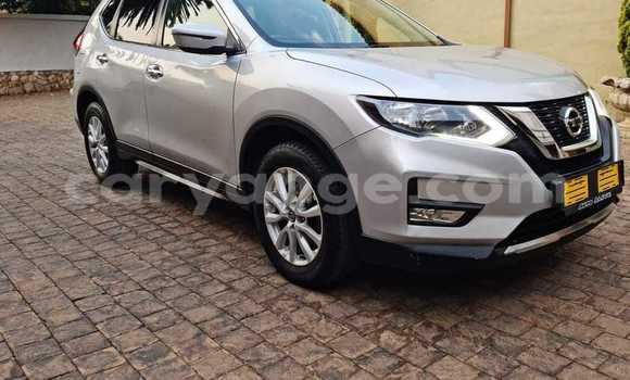 Buy Used Nissan X–Trail Silver Car in Windhoek in Namibia Buy Used Nissan X–Trail Silver Car in Windhoek in Namibia