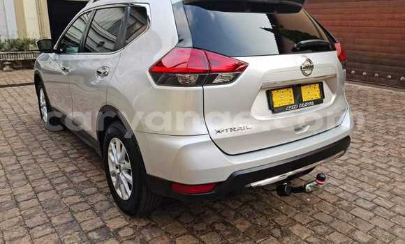 Buy Used Nissan X–Trail Silver Car in Windhoek in Namibia Buy Used Nissan X–Trail Silver Car in Windhoek in Namibia