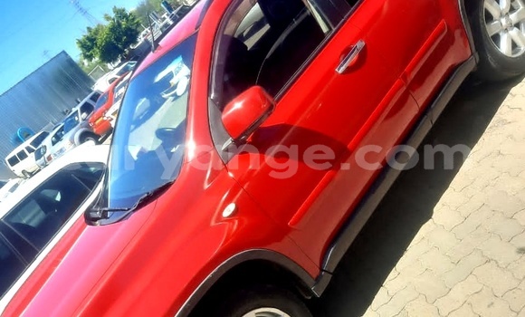 Acheter Occasion Voiture Nissan X–Trail Rouge à Windhoek, Namibie Acheter Occasion Voiture Nissan X–Trail Rouge à Windhoek, Namibie