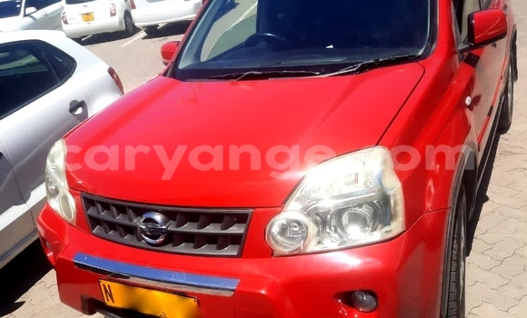 Acheter Occasion Voiture Nissan X–Trail Rouge à Windhoek, Namibie Acheter Occasion Voiture Nissan X–Trail Rouge à Windhoek, Namibie