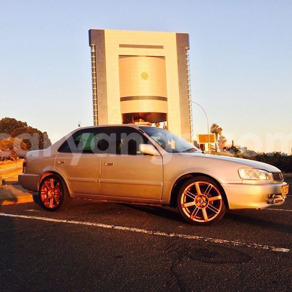 Big with watermark 13509050 1798044843765565 1838754799261078857 n