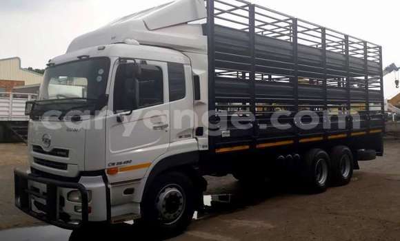 Acheter Occasion Utilitaire DAF CF Blanc à Arandis, Kunene