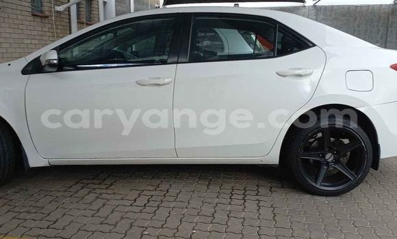 Buy Used Toyota Corolla White Car in Windhoek in Namibia