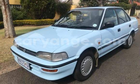 Buy Used Toyota Corolla Blue Car in Windhoek in Namibia Buy Used Toyota Corolla Blue Car in Windhoek in Namibia