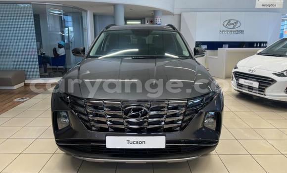 Acheter Occasion Voiture Hyundai Tucson Autre à Windhoek, Namibie Acheter Occasion Voiture Hyundai Tucson Autre à Windhoek, Namibie