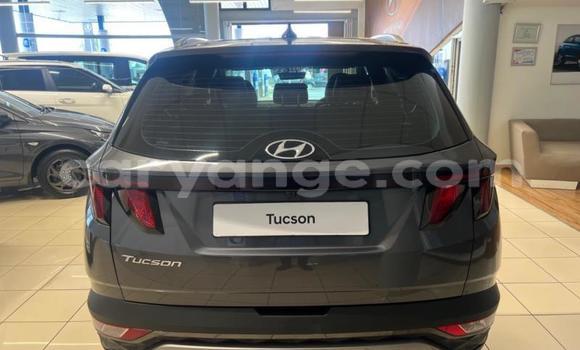 Acheter Occasion Voiture Hyundai Tucson Autre à Windhoek, Namibie Acheter Occasion Voiture Hyundai Tucson Autre à Windhoek, Namibie
