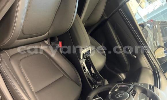 Acheter Occasion Voiture Hyundai Tucson Autre à Windhoek, Namibie Acheter Occasion Voiture Hyundai Tucson Autre à Windhoek, Namibie