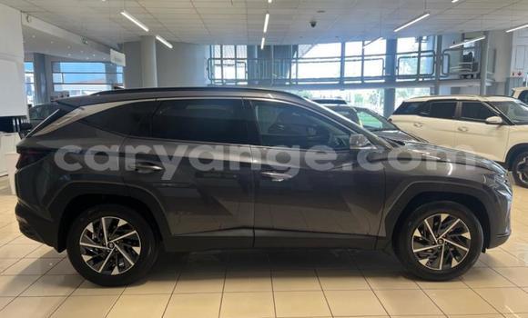 Acheter Occasion Voiture Hyundai Tucson Autre à Windhoek, Namibie Acheter Occasion Voiture Hyundai Tucson Autre à Windhoek, Namibie