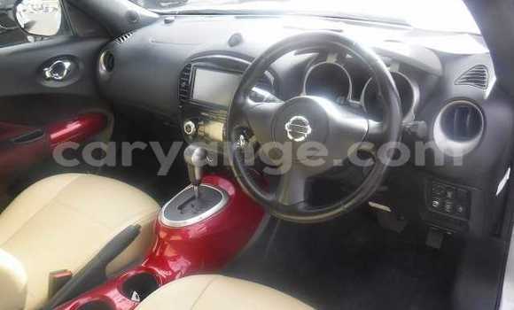 Buy Used Nissan Juke Silver Car in Otavi in Oshikoto Buy Used Nissan Juke Silver Car in Otavi in Oshikoto