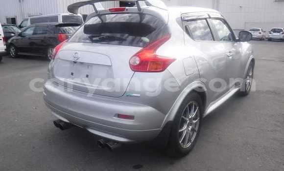 Buy Used Nissan Juke Silver Car in Otavi in Oshikoto Buy Used Nissan Juke Silver Car in Otavi in Oshikoto