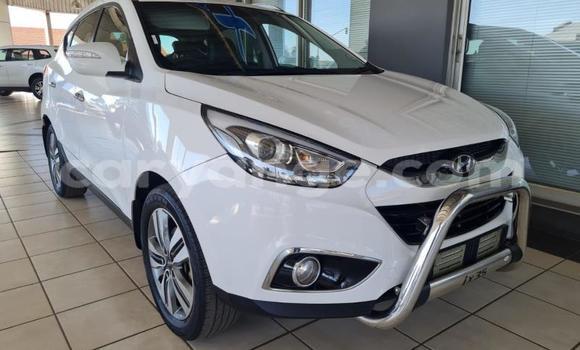 Buy Used Hyundai Ix35 White Car in Karasburg in Karas