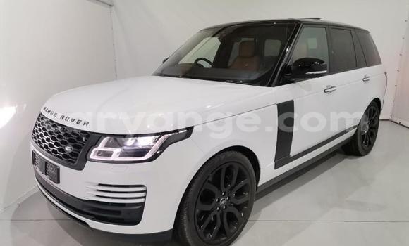 Acheter Occasion Voiture Land Rover Range Rover Blanc à Karasburg, Karas