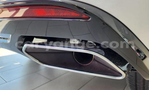 Acheter Occasion Voiture Volkswagen Touareg Blanc à Import - Dubai, Namibie Acheter Occasion Voiture Volkswagen Touareg Blanc à Import - Dubai, Namibie