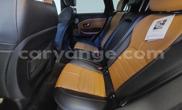 Acheter Occasion Voiture Land Rover Range Rover Evoque Blanc à Karasburg, Karas Acheter Occasion Voiture Land Rover Range Rover Evoque Blanc à Karasburg, Karas