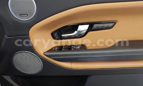 Acheter Occasion Voiture Land Rover Range Rover Evoque Blanc à Karasburg, Karas Acheter Occasion Voiture Land Rover Range Rover Evoque Blanc à Karasburg, Karas